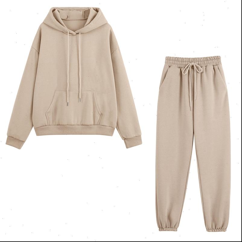 women tracksuits autumn winter thick fleece warm solid suit 2 pieces sets female casual long sleeve hooded outfit, Gray
women tracksuits autumn winter thick fleece warm solid suit 2 pieces sets female casual long sleeve hooded outfit, Gray