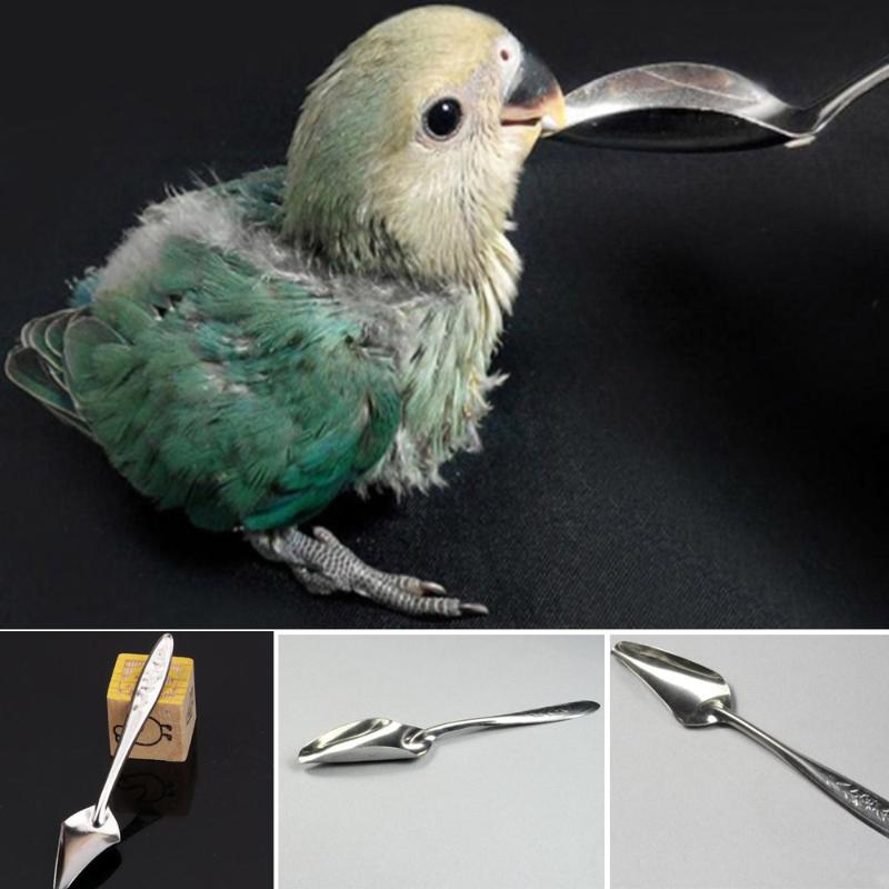 Other Bird Supplies Parrot Feeding Spoon Stainless Steel Water Milk Powder Pet Chicks от DHgate WW