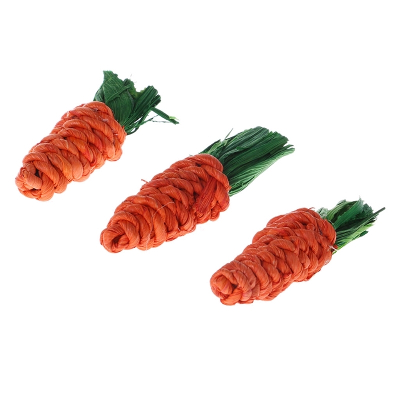 3.Cuts carrot Former rabbit Hamster Chew Bite Toys Cavia Dental cleaning Toys