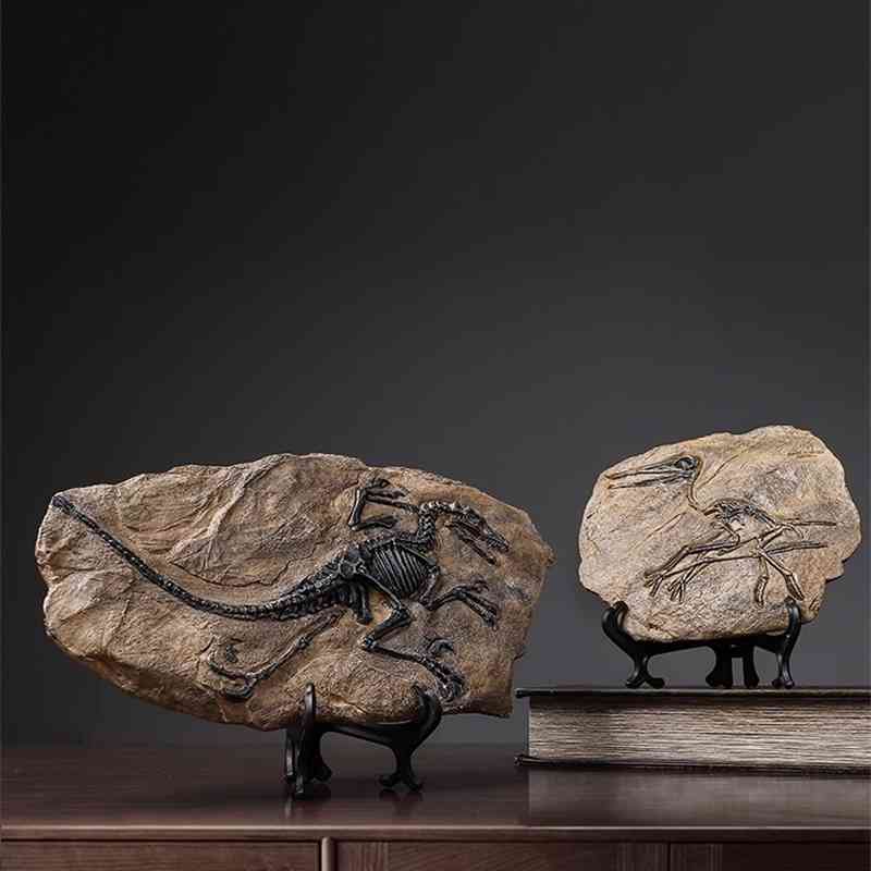 Dinosaur fossil creative simplicity modern office bookshelf wine TV cabinet decorative ornaments crafts
Dinosaur fossil creative simplicity modern office bookshelf wine TV cabinet decorative ornaments crafts