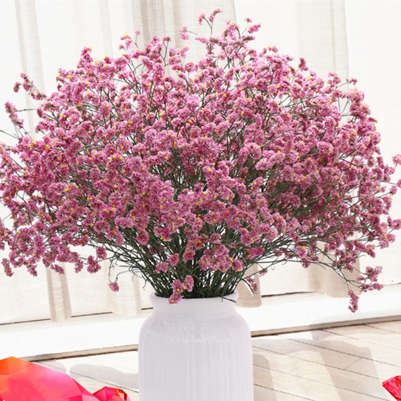 Decorative Flowers & Wreaths Yunnan Dried Flower Real Bouquet Forget-me-not Starry Decoration Living Room Air, 12
Decorative Flowers & Wreaths Yunnan Dried Flower Real Bouquet Forget-me-not Starry Decoration Living Room Air, 12