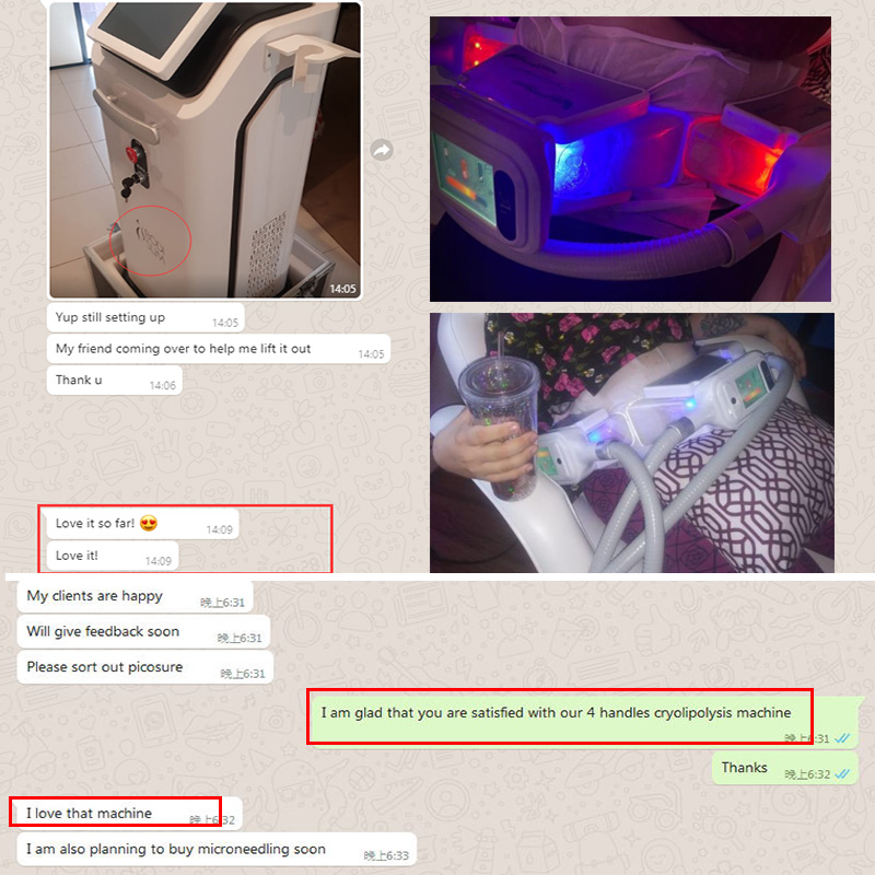 Fat reducing Cryolipolysis cellulite reduction weight loss professional cryo lipolysis slimming machine 4 handles available CE DHL