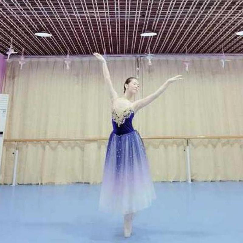 Professional Long Ballet Tutu Dress Gradient Blue Ballerina Adult Kids Costumes Party Dance Women Girls Stage Wear
Professional Long Ballet Tutu Dress Gradient Blue Ballerina Adult Kids Costumes Party Dance Women Girls Stage Wear