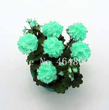 100 Pcs seeds /Bag Geranium Rare Apple Blossom Potted Flower Bonsai Courtyard Balcony Home Mini Plant Garden Supplies Decorative Landscaping Aerobic Potted
100 Pcs seeds /Bag Geranium Rare Apple Blossom Potted Flower Bonsai Courtyard Balcony Home Mini Plant Garden Supplies Decorative Landscaping Aerobic Potted