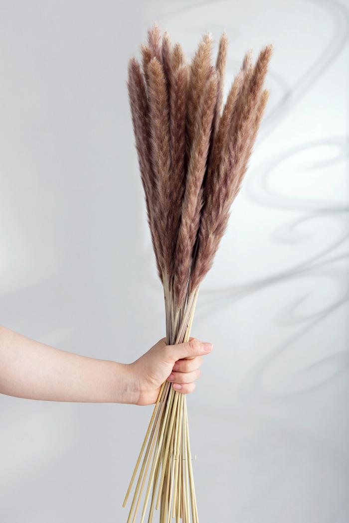 Bouquet Eucalyptus Cotton Pampas Grass Natural Dried Flowers Desk Decoration Centerpieces Table Accessories Po Ddecor Decorative & Wreaths