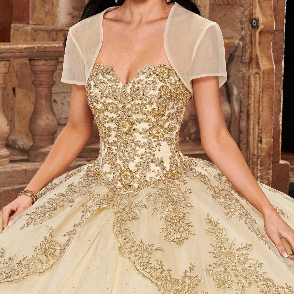 Carmina Quinceanera Dresses In Champagne Gold, Red Color Prom Gowns Floral Applique with Beaded Sequins Classic Tonal Embroidered Tulle