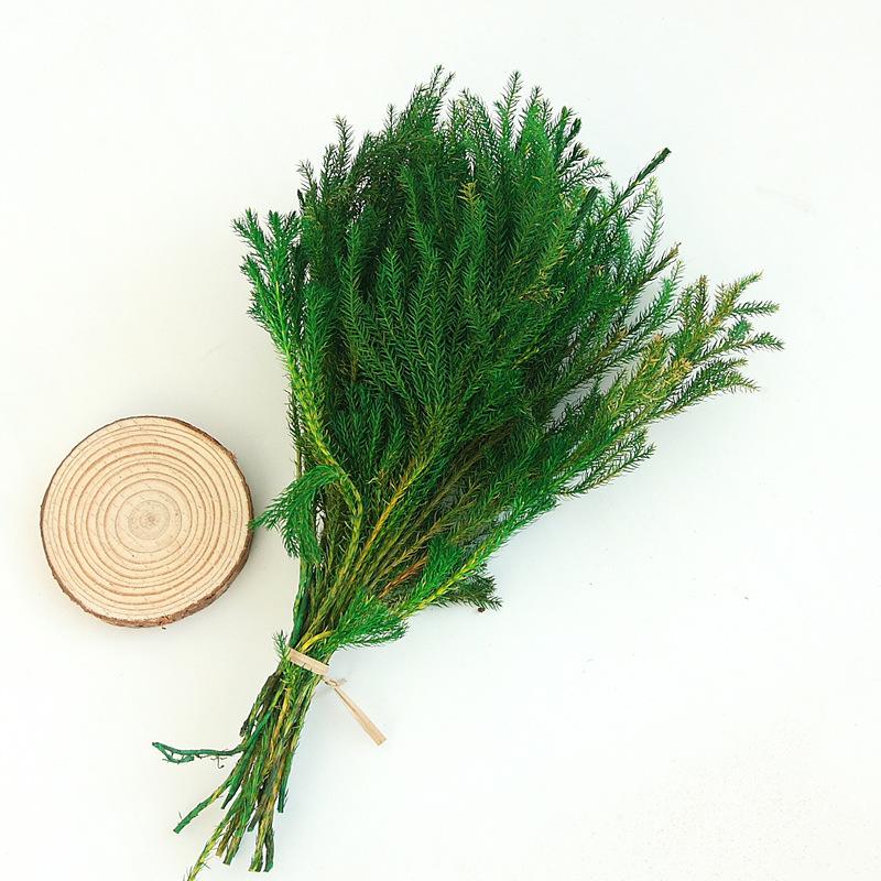 Decorative Flowers & Wreaths 30g/Bouquet,Nature Fresh Preserved Lycopodium,Dried Eternal Flower For Wedding Party Home Decoration Accessorie
Decorative Flowers & Wreaths 30g/Bouquet,Nature Fresh Preserved Lycopodium,Dried Eternal Flower For Wedding Party Home Decoration Accessorie