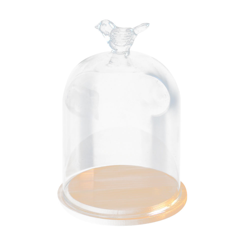 Clear Vases Glass Flower Display Cloche Bell Jar Dome Immortal Preservation with Wooden Base Flower Glass Cover Home Decor 210409