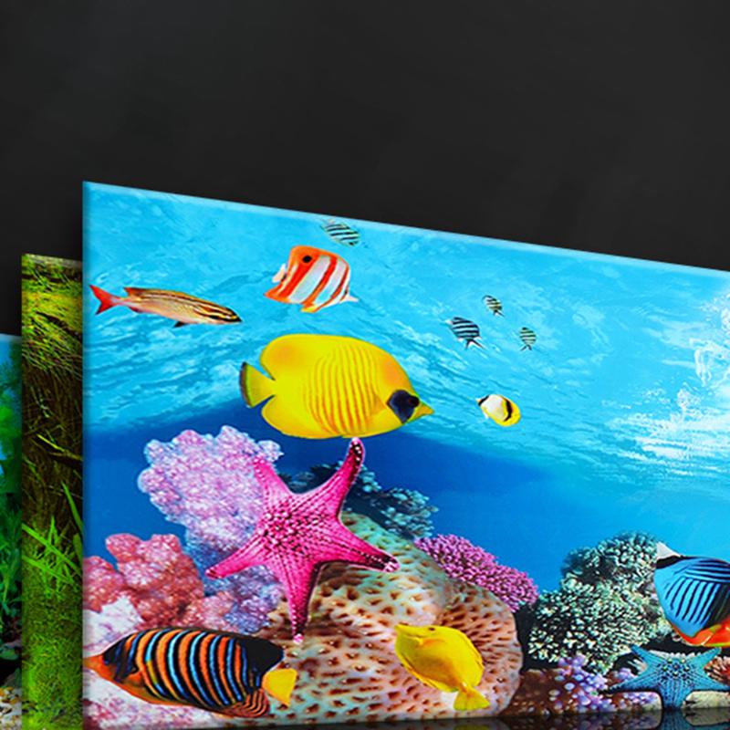 Decorations Plants For Large Aquarium Complete Fish Decorative Stones Aqvarium Accessories Decoration Live Ornaments Aquatic
Decorations Plants For Large Aquarium Complete Fish Decorative Stones Aqvarium Accessories Decoration Live Ornaments Aquatic