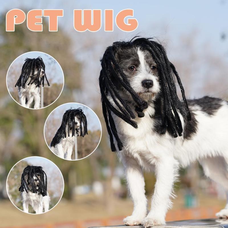Cat Costumes Dreadlocks Cool Pet Dog Wig Costume Black Mane Cap Hat Accessories Long Hair Cosplay Clown Headgear
Cat Costumes Dreadlocks Cool Pet Dog Wig Costume Black Mane Cap Hat Accessories Long Hair Cosplay Clown Headgear