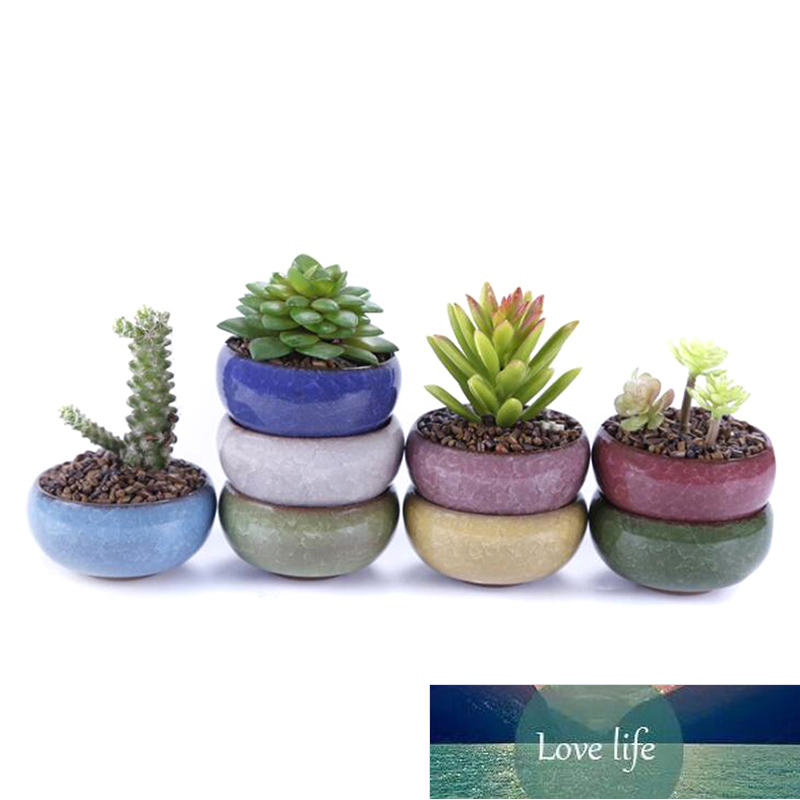 Cute Mini Ice-Crack Glaze Flower Ceramic Succulent Flower Plant Pot Succulent Planter Flowerpot Office Home Desktop Decoration Factory price expert de
