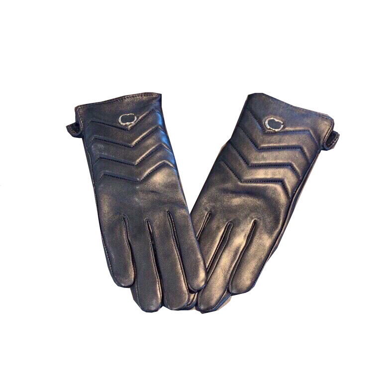 Designers Double Letters Gloves Womens Winter Windproof Glove Top Quality Leather Mittens Ladies Warm Cashmere Mitten, Blue;gray