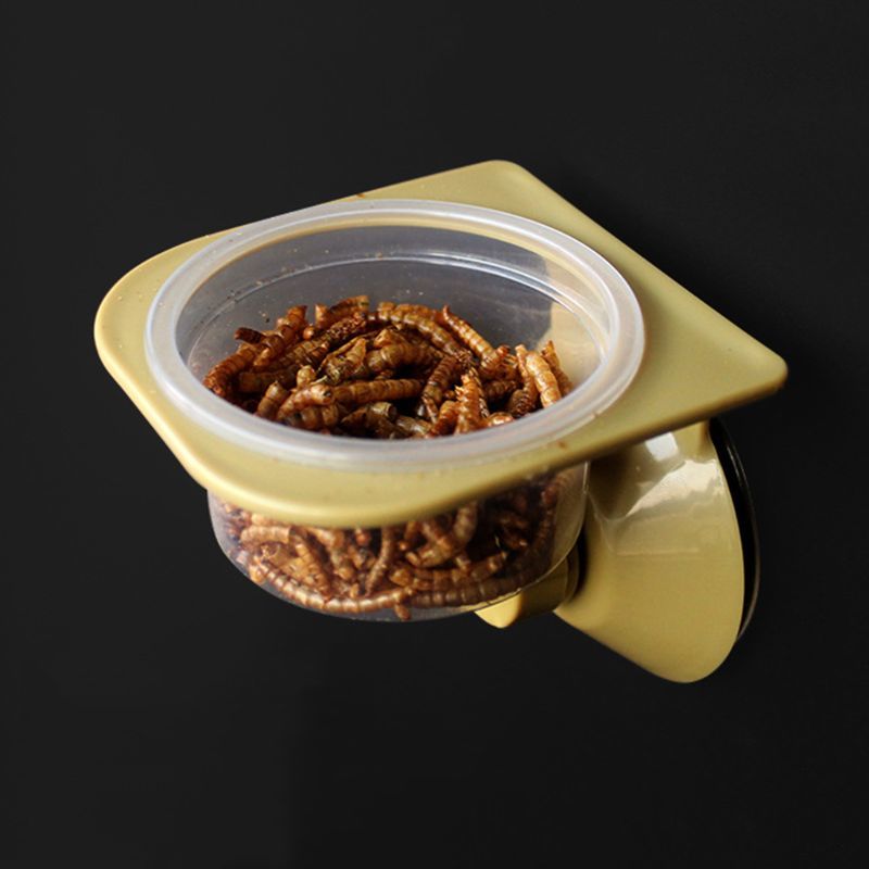 Sewing Reptile Water Food Feeder Wall Knoping Feed Plate Come Spider Fokken Box Tank Plate Pot Delivery