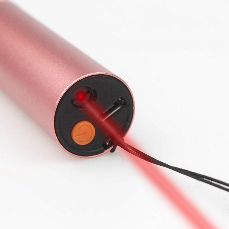 2 In 1 Funny Kitten Teaser Stick Cat Moss Detection Red Uv Light Pointer Usb Loadable Pet Toys