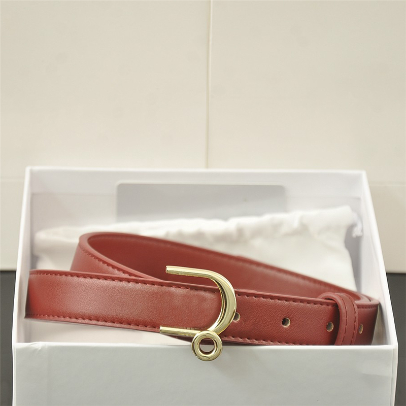 Fashion Belts For Women Luxurys Designers Belts Letter Golden Silver Buckle Womens Designer Belt Width High Quality 2.5cm Vokoli, Black;brown
Fashion Belts For Women Luxurys Designers Belts Letter Golden Silver Buckle Womens Designer Belt Width High Quality 2.5cm Vokoli, Black;brown