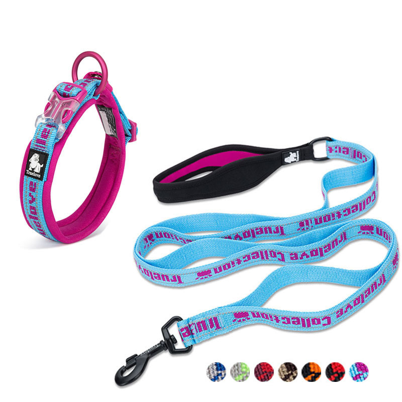 Truelove Best Nylon Pet Dog Collars And Leashes Reflective Embroidery For Small Large Dogs Popular Unique Male Female Puppy