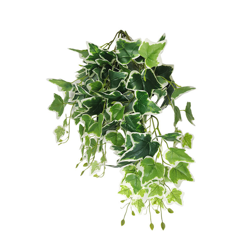 Garden decoration white edge sweet potato wall hanging flower artificial plastic suitable for family wedding courtyard 60*30cm
Garden decoration white edge sweet potato wall hanging flower artificial plastic suitable for family wedding courtyard 60*30cm
