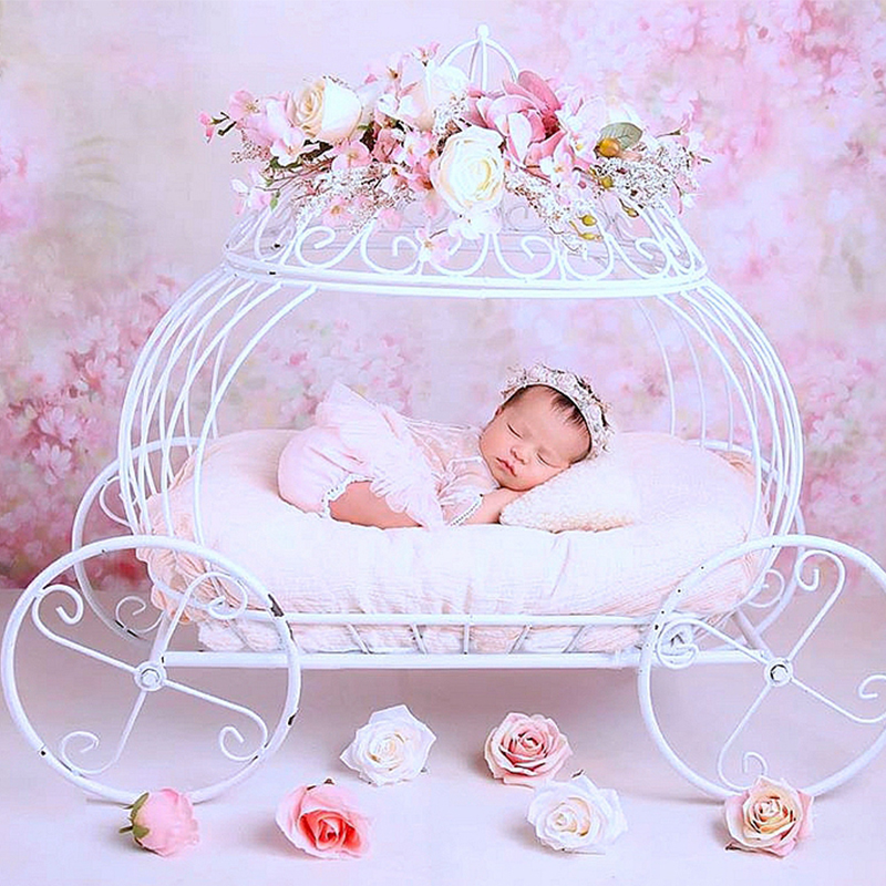 Newborn Photography Props Baby Iron Princess Cinderella Carriage Prop Posing Pumpkin Car Poser Fotografia Photo Prop Accessories
Newborn Photography Props Baby Iron Princess Cinderella Carriage Prop Posing Pumpkin Car Poser Fotografia Photo Prop Accessories