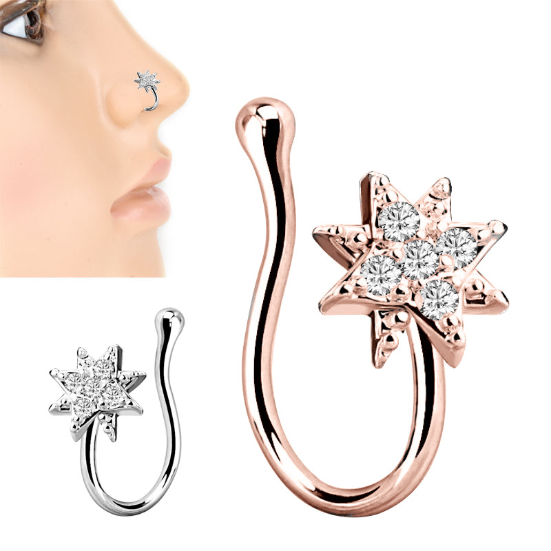 Fake Nose Rings for Women Men Surgical Stainless Steel Rhinestone Non-pierced Septum Ring Hanger Clip Body Jewelry
Fake Nose Rings for Women Men Surgical Stainless Steel Rhinestone Non-pierced Septum Ring Hanger Clip Body Jewelry