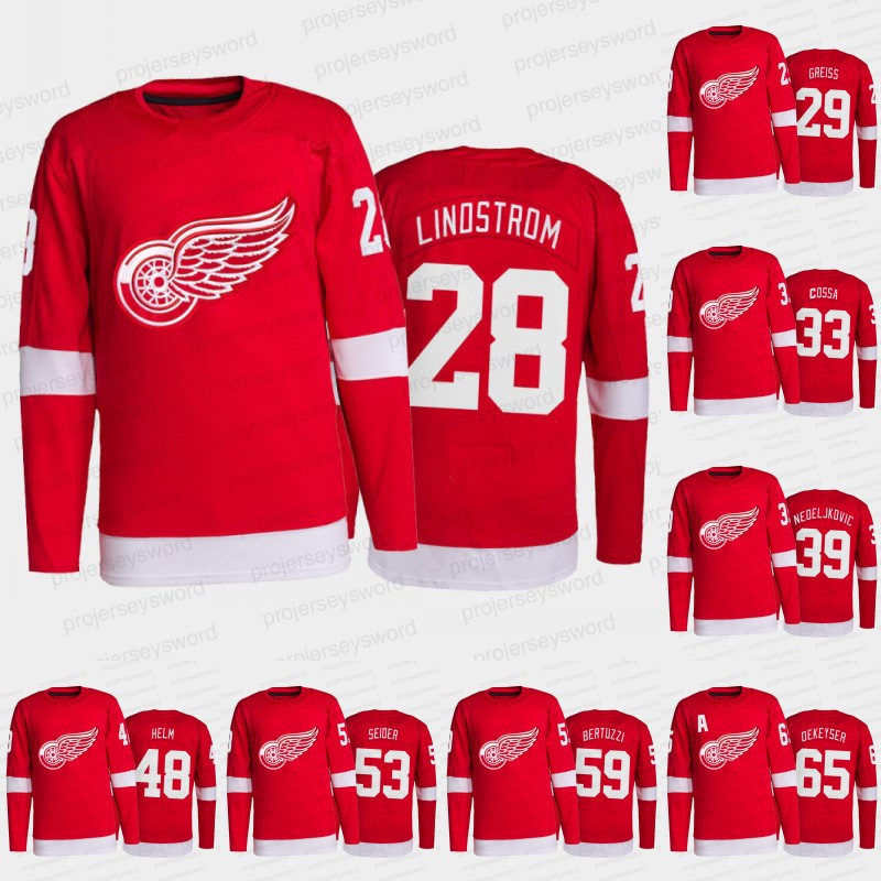 2021-22 Detroit Red Wings Jersey Thomas Greiss Sebastian Cossa Alex Nedeljkovic Givani Smith Moritz Seider Tyler Bertuzzi Danny DeKeyser Troy Stecher Dylan Larkin, 90 joe veleno
2021-22 Detroit Red Wings Jersey Thomas Greiss Sebastian Cossa Alex Nedeljkovic Givani Smith Moritz Seider Tyler Bertuzzi Danny DeKeyser Troy Stecher Dylan Larkin, 90 joe veleno