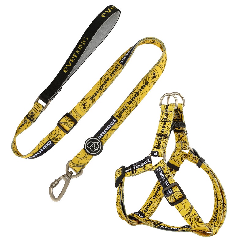 pet supplies 2021 customized dog leashes set with XS S M L size wholesale colorful sublimation artwork
pet supplies 2021 customized dog leashes set with XS S M L size wholesale colorful sublimation artwork