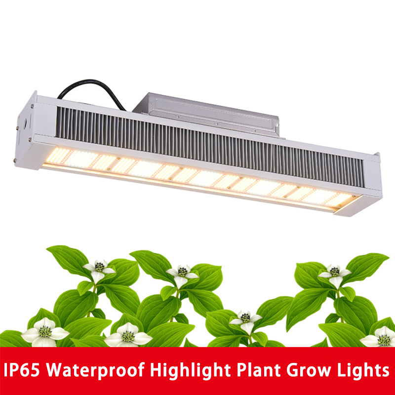 Greenhouse Full Spectrum Cob Grow Lights 320 640W 301B LED Light AC100~277V Indoor Toplight Hydroponics Vegetable Flower Plant Growth Lamp IP65 Waterproof
Greenhouse Full Spectrum Cob Grow Lights 320 640W 301B LED Light AC100~277V Indoor Toplight Hydroponics Vegetable Flower Plant Growth Lamp IP65 Waterproof