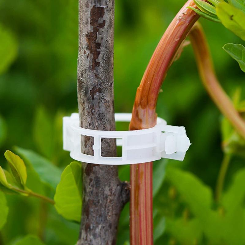 Other Garden Supplies 1 Inch Diameter 500Pcs Plant Support Clip White Tomato Trellis Clips For Vine Vegetables Flower To Grow Uprightly