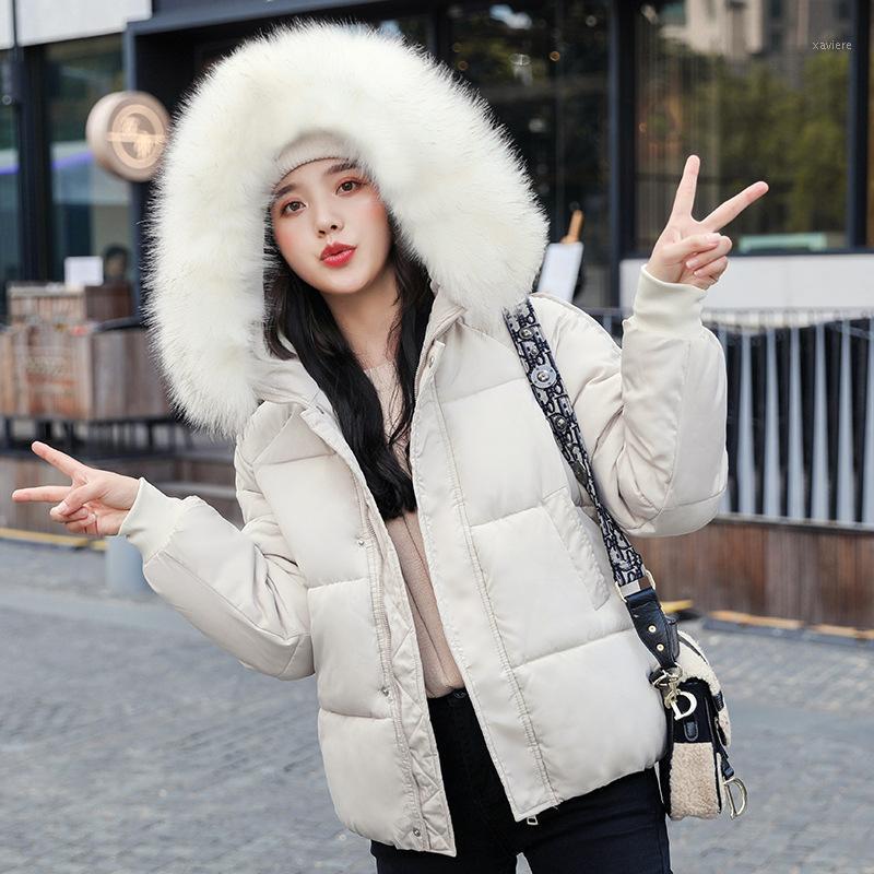 Artificial Raccoon Fur Collar Winter Jacket Women And Autumn Wear High Quality Parkas Outwear Long Coats Women's Down, Black
Artificial Raccoon Fur Collar Winter Jacket Women And Autumn Wear High Quality Parkas Outwear Long Coats Women's Down, Black