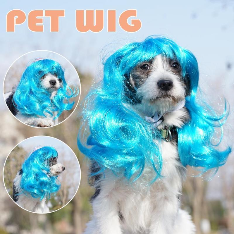 Cat Costumes Blue Curls Pet Dog Wig Costume Black Mane Cap Hat Accessories Long Hair Cosplay Clown Headgea
Cat Costumes Blue Curls Pet Dog Wig Costume Black Mane Cap Hat Accessories Long Hair Cosplay Clown Headgea