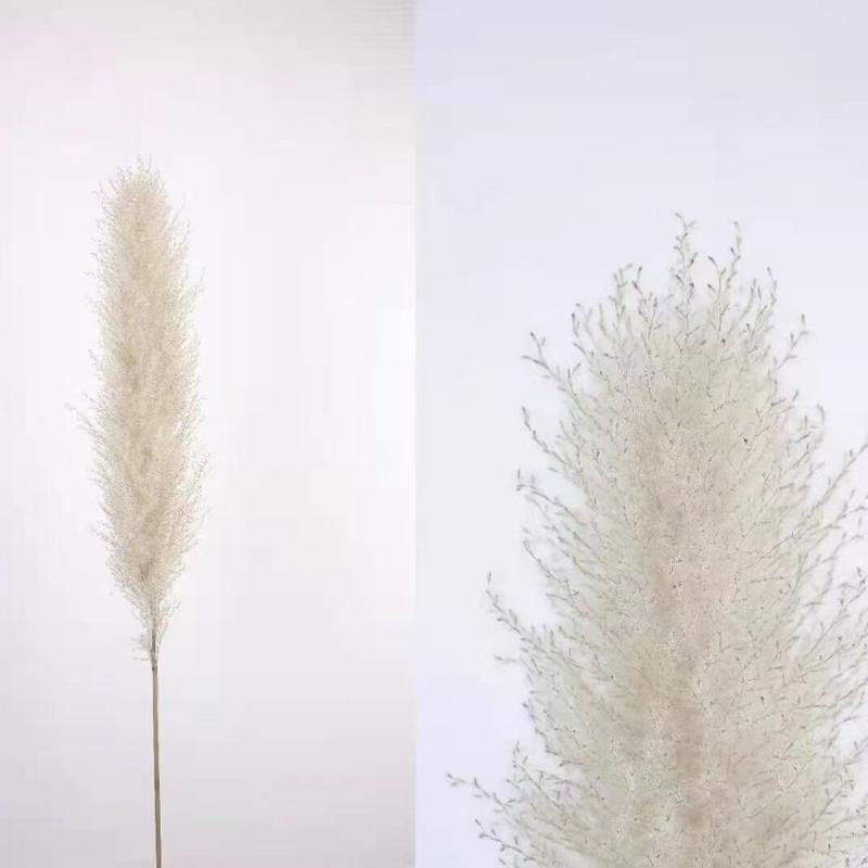 Decorative Flowers & Wreaths 140CM 10Pcs/lot Natural Large Pampas Grass Decor Real Artificial Dried Bouquet Wedding Supplies Christmas