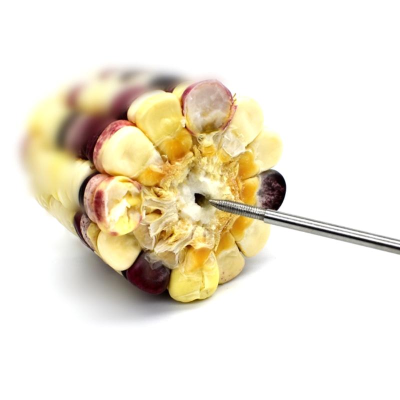 Stainless Steel Holder Stick Fruit Skewer Bird Treating Tool Parrot Toy Cage Accessories Other Supplies