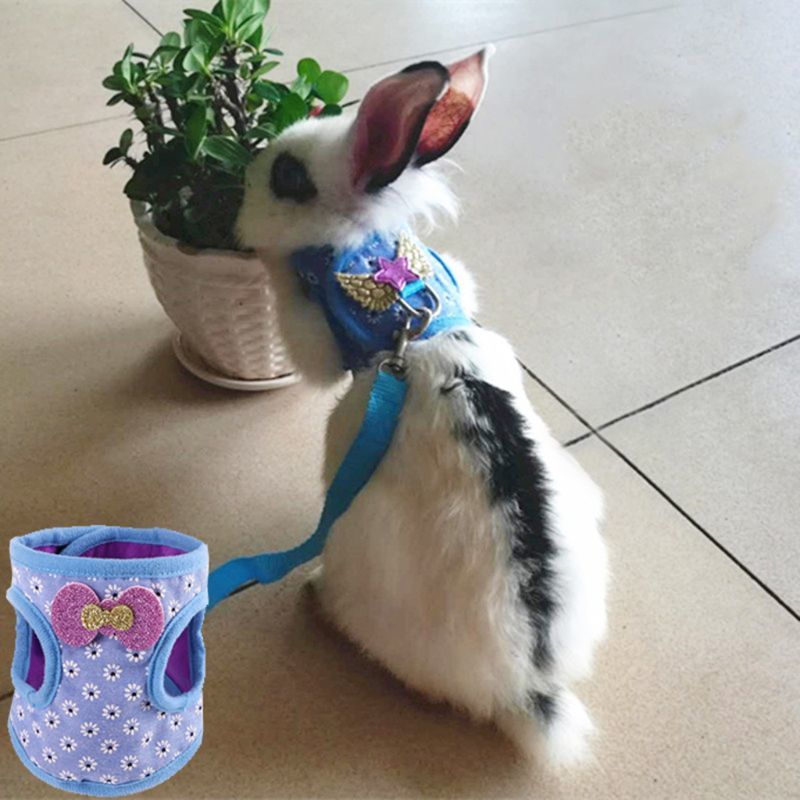 Rabbit Hamster Vest Harnas with Leiband Bunny Breastband Fret Work Touch