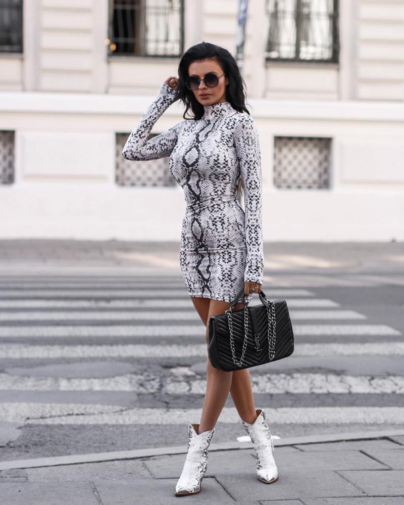 Styles Women Long Sleeve Casual Bodycon Dress Turtleneck Leopard Printed Snakeskin Party Clubwear Short Mini Dresses