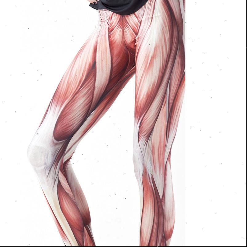 fashion muscles women legging patterned leggings girls tights leg elasticity pants print seamless, Black
fashion muscles women legging patterned leggings girls tights leg elasticity pants print seamless, Black