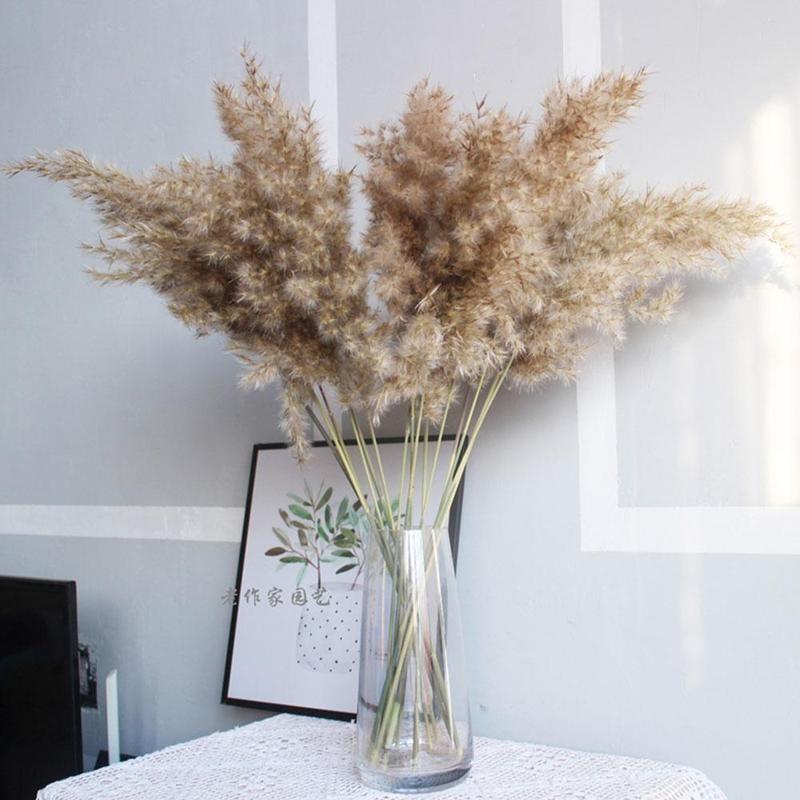 Decorative Flowers & Wreaths 5pcs 55cm Big Cloud Reed Natural Dried Plants Home Holiday Wedding Decor Large Size Fluffy Lovely Pampas Grass
Decorative Flowers & Wreaths 5pcs 55cm Big Cloud Reed Natural Dried Plants Home Holiday Wedding Decor Large Size Fluffy Lovely Pampas Grass