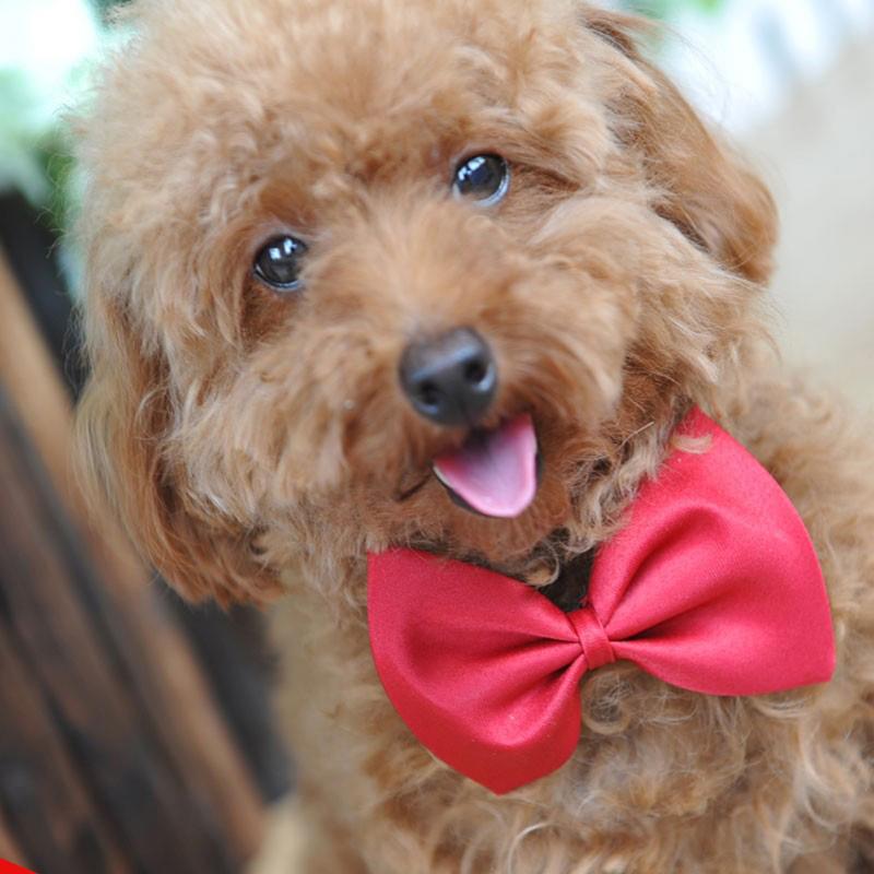 Dog Apparel Cute Pet Christmas Gift For Bow Tie 100pcs/lot Cat Neck Grooming Accessories 19 Colors Adjustable Bows
