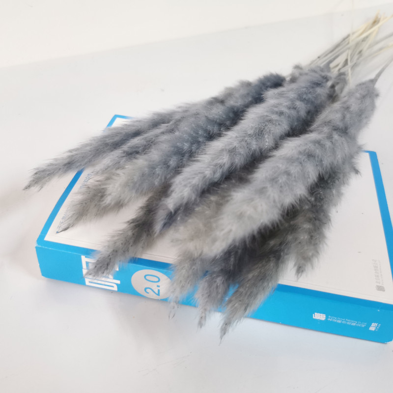 30 PCS Wedding Flower Bunch For Home Decor Bulrush Natural Dried Small Pampas Grass Phragmites Artificial Plants Fleurs Sechees
30 PCS Wedding Flower Bunch For Home Decor Bulrush Natural Dried Small Pampas Grass Phragmites Artificial Plants Fleurs Sechees