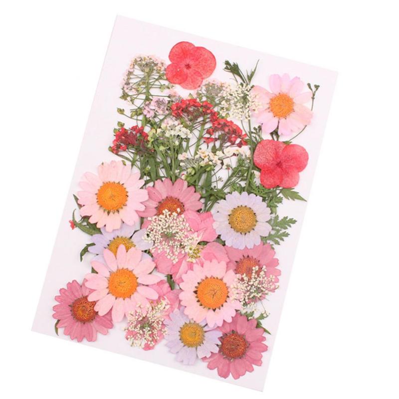 Decorative Flowers & Wreaths 1 Bag Dried Flower Pressed Mixed Natural DIY Accessories Art Handicraft Gift Decoration Festive Party Supplies
Decorative Flowers & Wreaths 1 Bag Dried Flower Pressed Mixed Natural DIY Accessories Art Handicraft Gift Decoration Festive Party Supplies