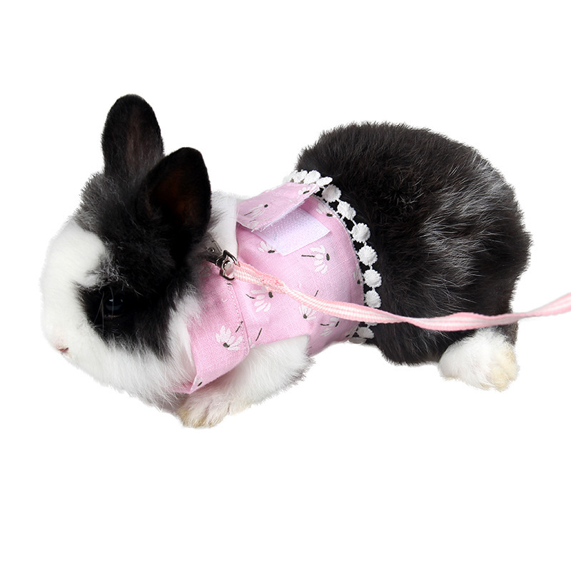 Ferrets Guinea Pig Vest Hoodie Small Pet Clothes Outdoor Traction Leash Rope Rabbit Harness Leash Set Hamster Mouse Costume