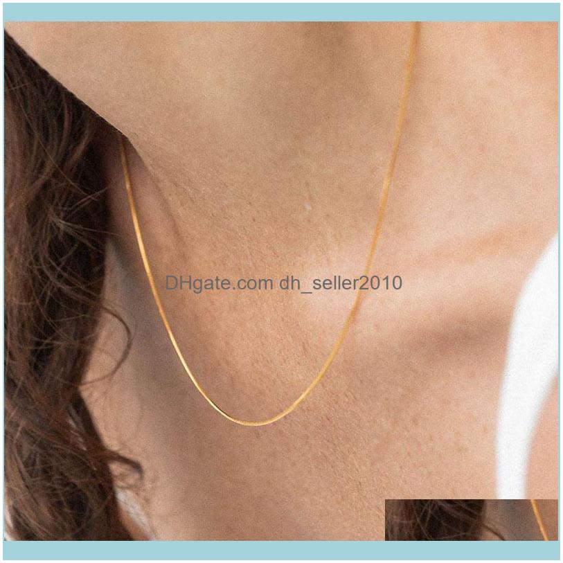 & Pendants Jewelrysimple Thin Snake Chain Necklaces For Women Gold Color Minimalist Metal Clavicle Collar Fashion Jewelry Chains Drop Delive
& Pendants Jewelrysimple Thin Snake Chain Necklaces For Women Gold Color Minimalist Metal Clavicle Collar Fashion Jewelry Chains Drop Delive