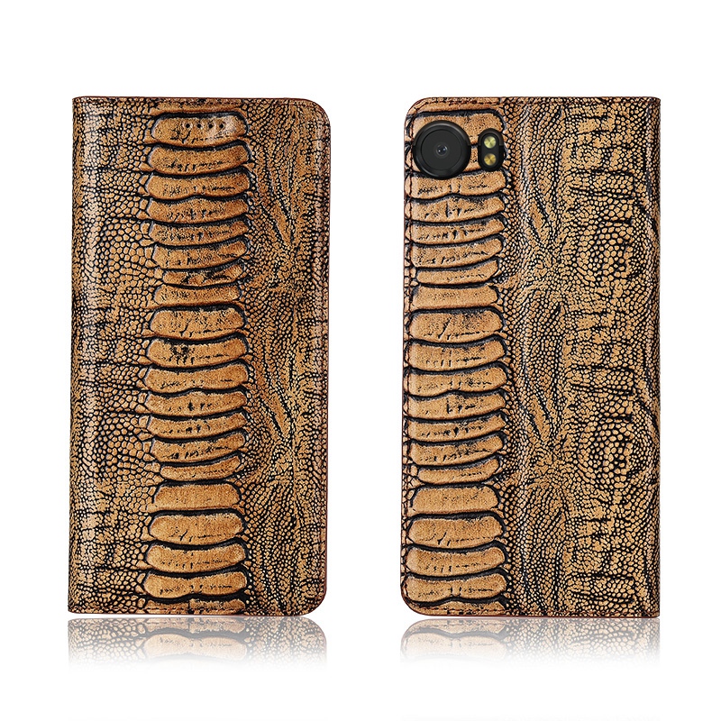 Ostrich claw pattern phone cases cowhide genuine leather magnetic lock back cover with card slots holder and kickstand for BlackBerry KEYone
Ostrich claw pattern phone cases cowhide genuine leather magnetic lock back cover with card slots holder and kickstand for BlackBerry KEYone