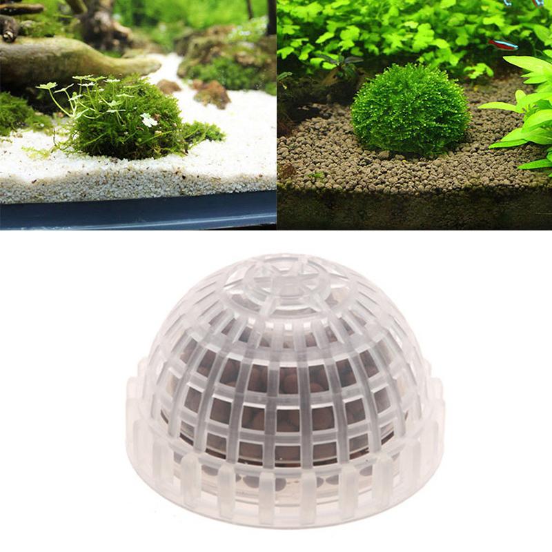 Decorations Natural Mineral Aquatic Bio Moss Ball Filter For Aquarium Crystal Red Shrimp House Fish Tank Decoration Balls
Decorations Natural Mineral Aquatic Bio Moss Ball Filter For Aquarium Crystal Red Shrimp House Fish Tank Decoration Balls