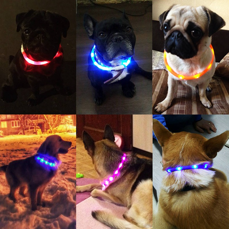 LED Glowing Dog USB Charging Sparkle Pet Collar Night Luminous Dogs Collars Rechargeable Nights Safety Flashing Necklace 8 Color Wholesale B30
