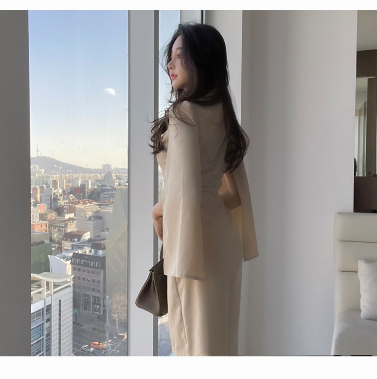 Spring Office OL Notched Collar Sexy Split Long sleeve Sheath Dresses Women With Belt Double Breasted Elegant Slim Dres 210519