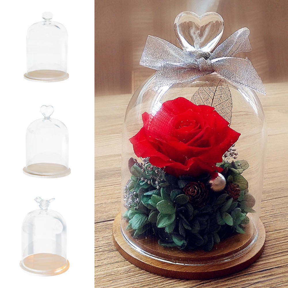 Clear Vases Glass Flower Display Cloche Bell Jar Dome Immortal Preservation with Wooden Base Flower Glass Cover Home Decor 210409