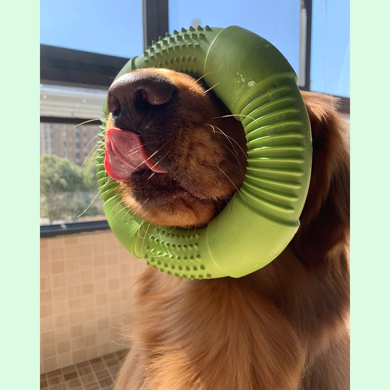 Durable Dog Training Foam Ring Dog Chew Toy Light Floatable Bite Resistant Interactive Toys For all sizes Dogs Puppy Flying Disc