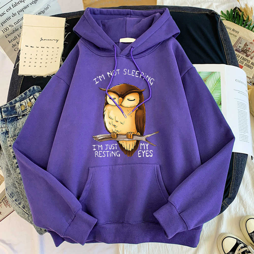 Cute Owl I'M Not Sleeping Im Just Resting My Eyes Tracksuits Male Warm Mens Hoodies Harajuku Sweatshirts Loose Pullover Male Y0804