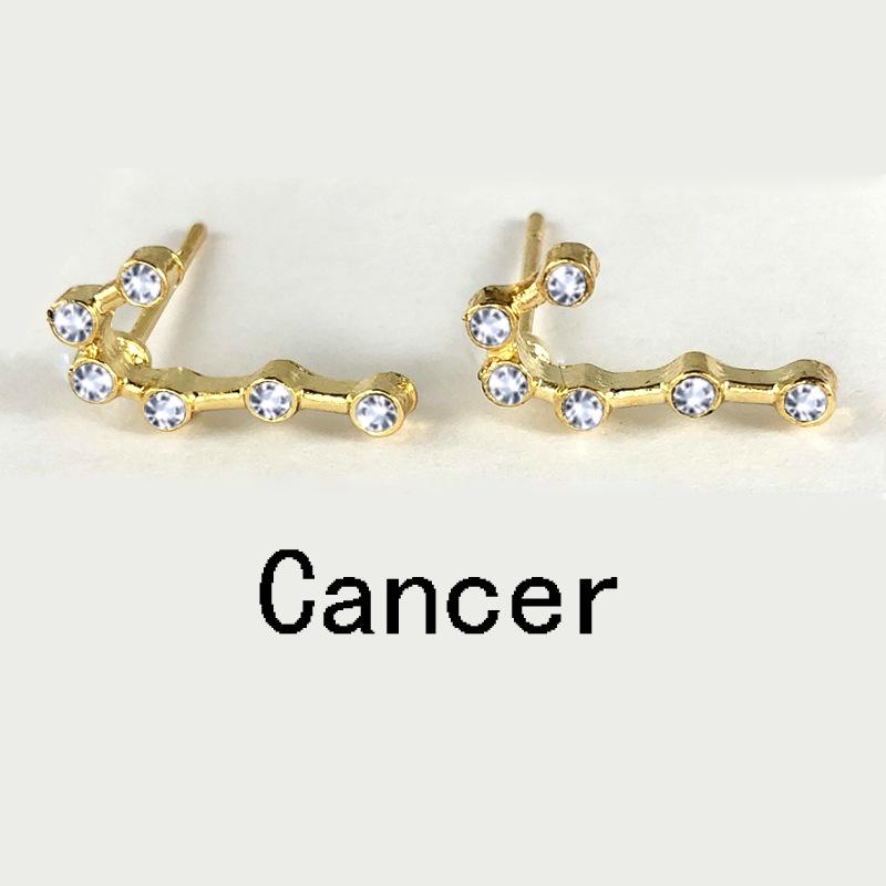 12 Constellation Austrian Crystal Stud Earrings Gold Silver Plated Horoscope Zodiac Symbol Earrings for Women Nice Jewelry Brithday Gift with Wish Pap