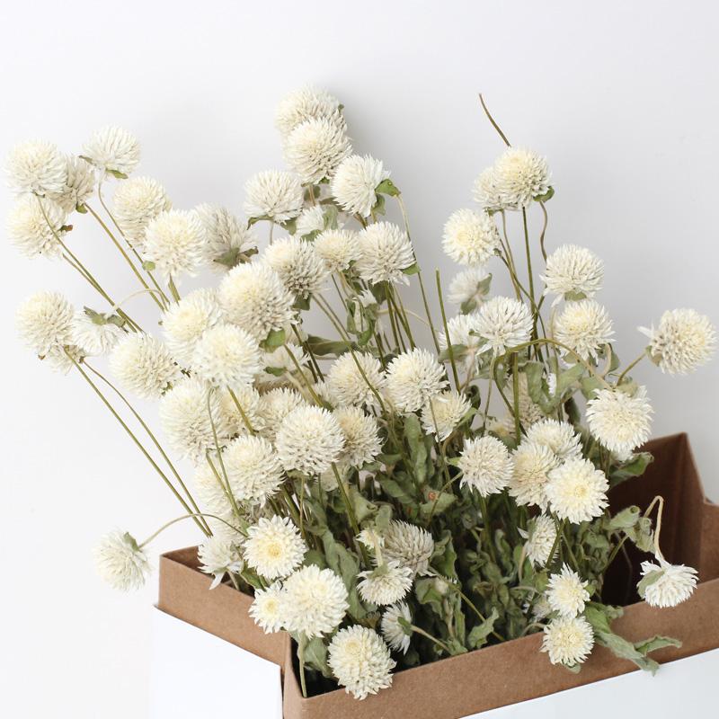 Decorative Flowers & Wreaths 45 Head Globe Amaranth Dried Flower Bouquet Rose Pink Purple Gomphrena Globosa Pressed For Home Wedding Party D