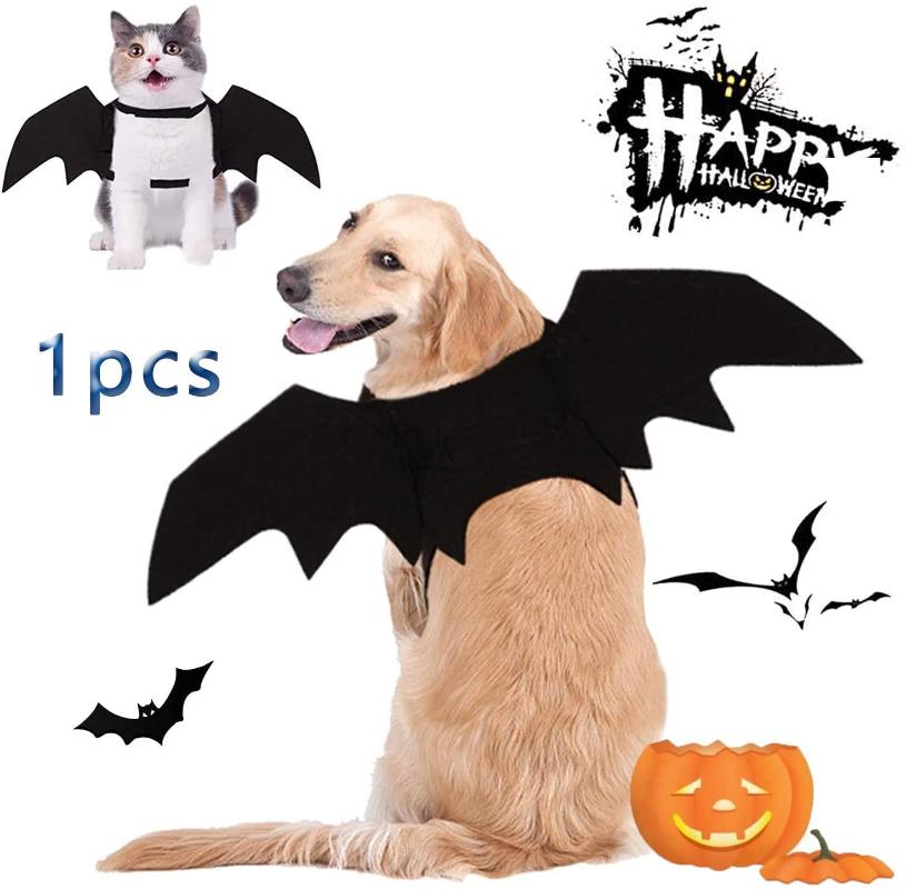 Cat Costumes Halloween Costume For Cats Dogs Pet Bat Wings Dog (Small)Dress Up Accessories Party
Cat Costumes Halloween Costume For Cats Dogs Pet Bat Wings Dog (Small)Dress Up Accessories Party